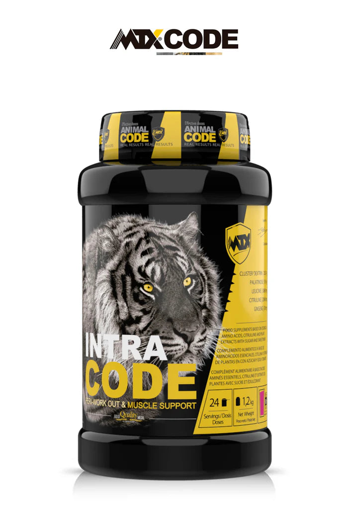 INTRACODE™ [1200G] - Iron Shark